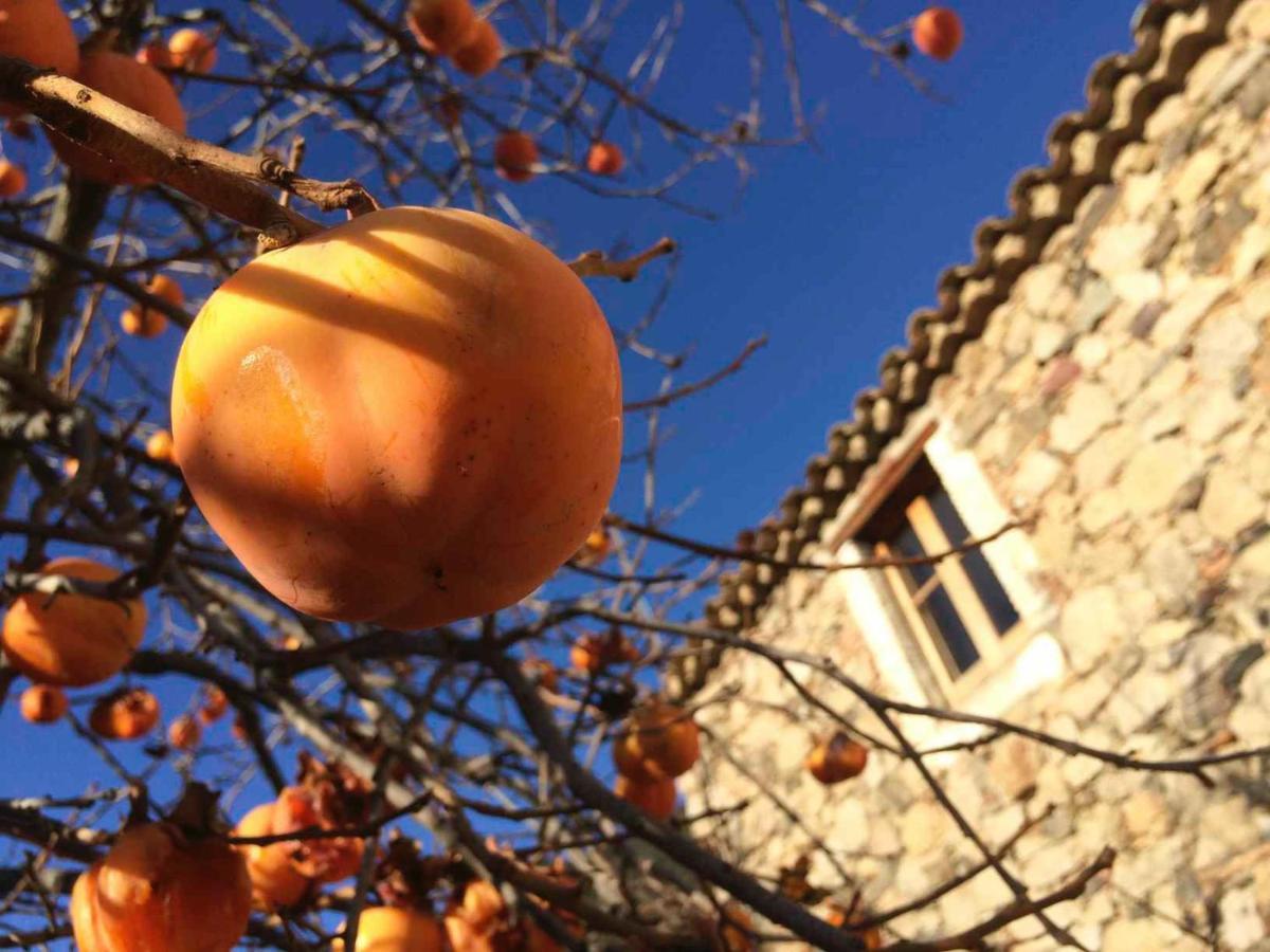 Masia De Vallforners Tagamanent ภายนอก รูปภาพ