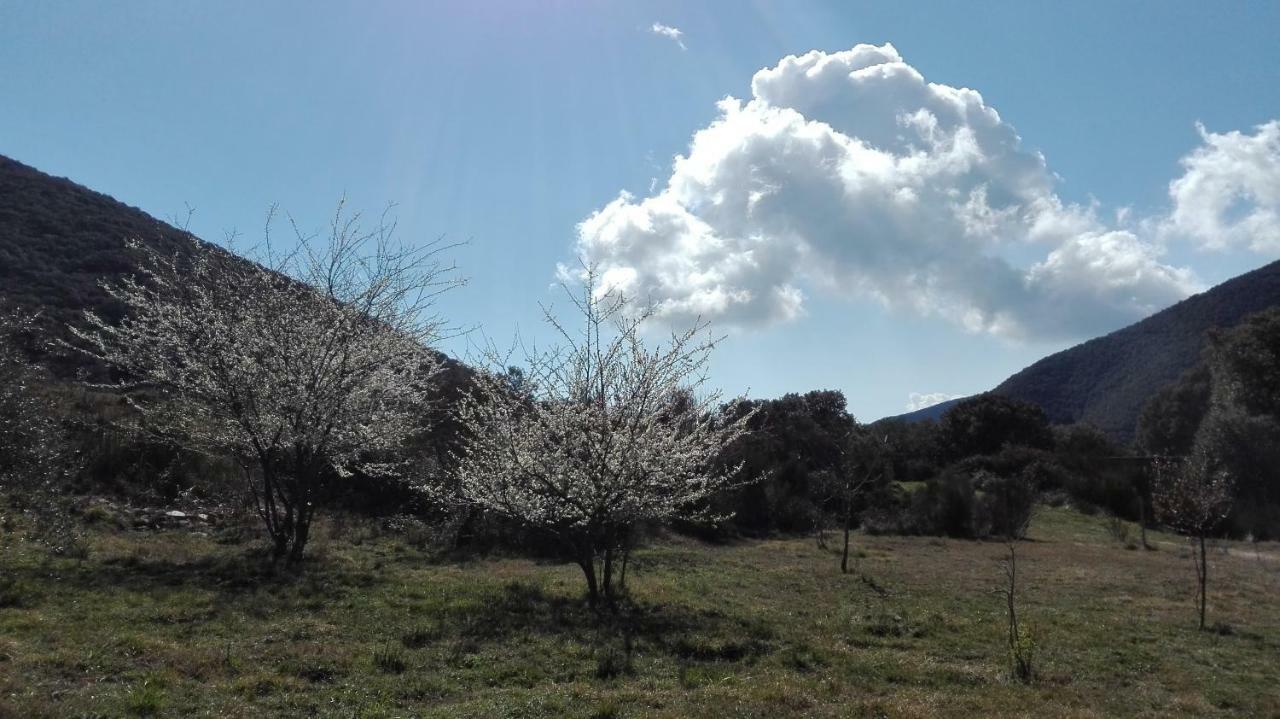 Masia De Vallforners Tagamanent ภายนอก รูปภาพ